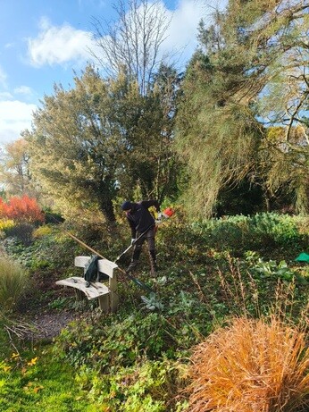 Weekly catch up with garden & propagation Weekly catch up with garden & propagation