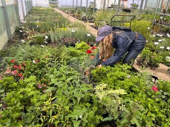 This week with the garden team- late May This week with the garden team- late May