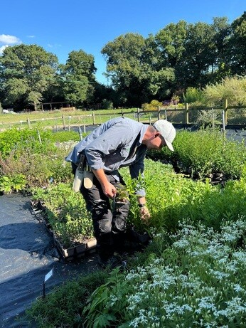 Weekly catch up with garden & propagation Weekly catch up with garden & propagation