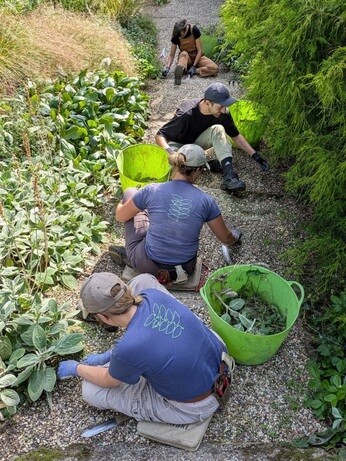 Weekly catch up with garden & propagation Weekly catch up with garden & propagation