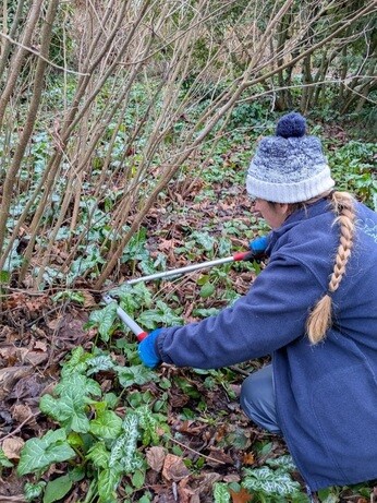Weekly catch up with garden & propagation Weekly catch up with garden & propagation