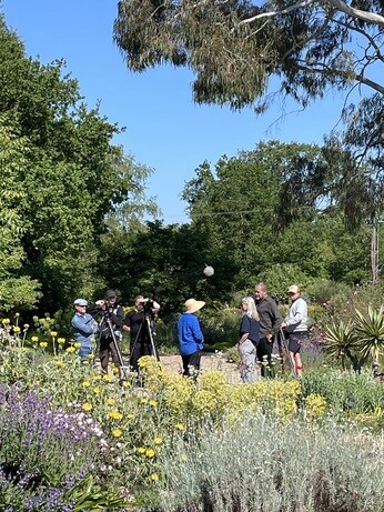 Weekly catch up with gardens & propagation Weekly catch up with gardens & propagation