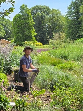 Weekly catch up with garden & propagation Weekly catch up with garden & propagation