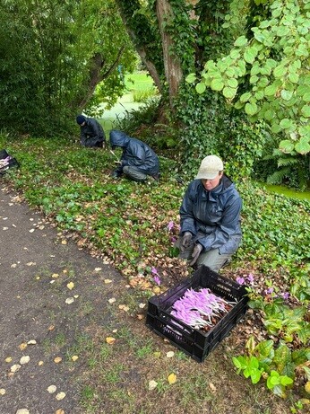 Weekly catch up with garden and propagation Weekly catch up with garden and propagation