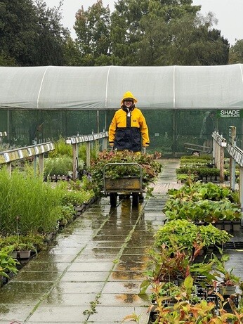 Weekly catch up with garden & propagation Weekly catch up with garden & propagation