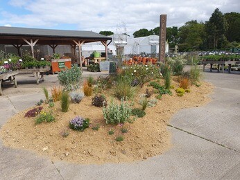Chelsea inspired sand garden Chelsea inspired sand garden
