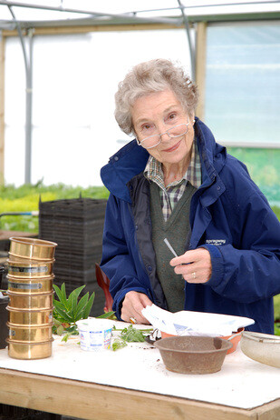 Seed collecting with propagation expert Emily Seed collecting with propagation expert Emily