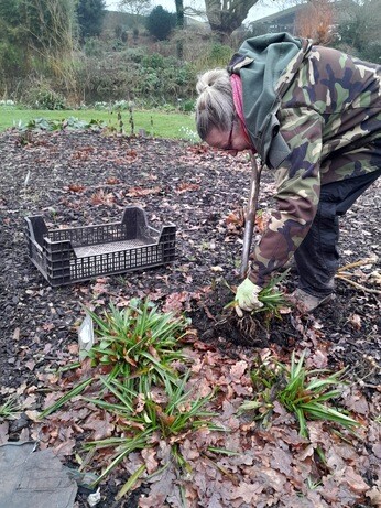 Weekly catch up with garden & propagation Weekly catch up with garden & propagation