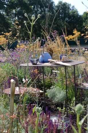 My year as a trainee at Beth Chatto's Plants & Gardens My year as a trainee at Beth Chatto's Plants & Gardens