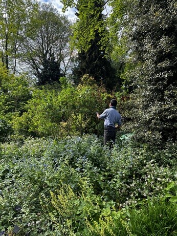 Weekly catch up with garden & propagation Weekly catch up with garden & propagation