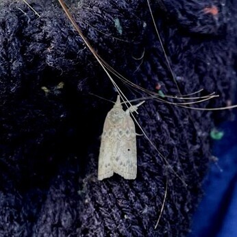 Wild Words from the Ground – February & March Wild Words from the Ground – February & March