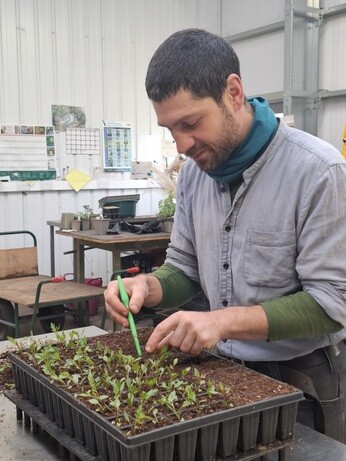 Weekly catch up with garden & propagation Weekly catch up with garden & propagation