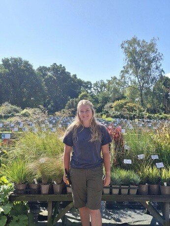 Weekly catch up with garden & propagation Weekly catch up with garden & propagation