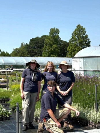 Weekly catch up with garden and propagation Weekly catch up with garden and propagation