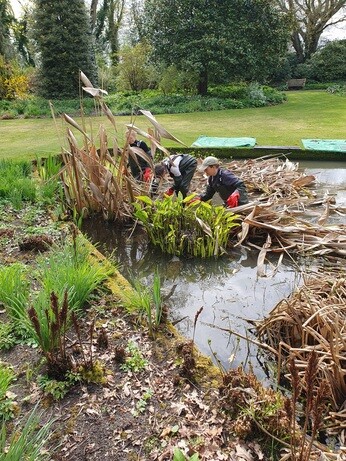 Weekly catch up with gardens & propagation Weekly catch up with gardens & propagation