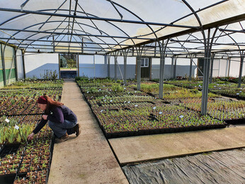 Propagation Team- Year End Propagation Team- Year End