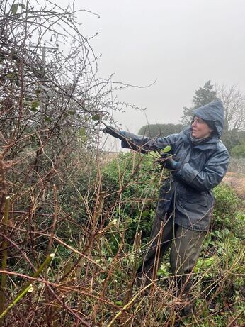 January news from the garden and propagation January news from the garden and propagation