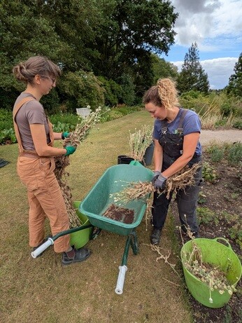 Weekly catch up with garden & propagation Weekly catch up with garden & propagation