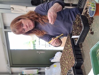 Weekly catch up with garden & propagation Weekly catch up with garden & propagation