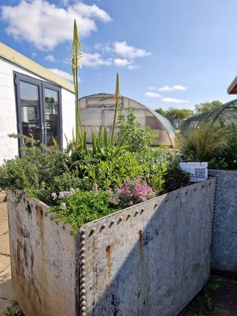 Urban Planters Urban Planters
