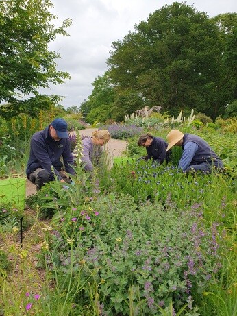 Weekly catch up with gardens & propagation Weekly catch up with gardens & propagation