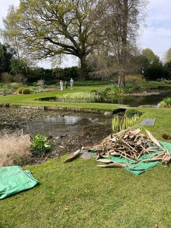 Weekly catch up with garden & propagation Weekly catch up with garden & propagation