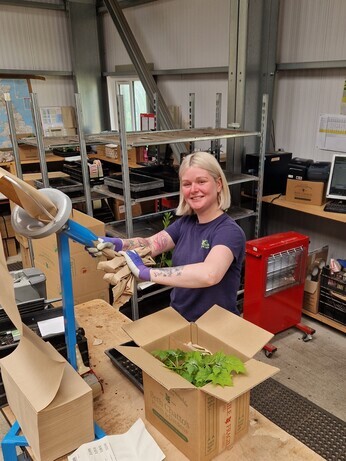 What to Expect When Ordering Plants What to Expect When Ordering Plants