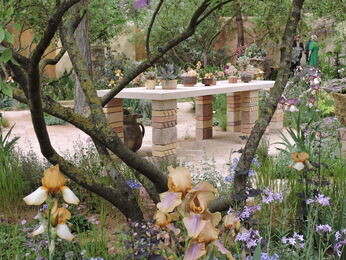 The Chelsea Flower Show 2023 The Chelsea Flower Show 2023