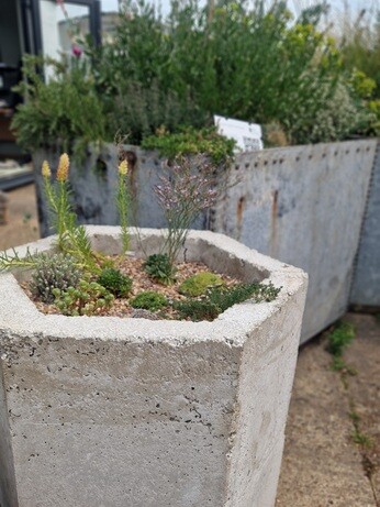 Urban planters experiment Urban planters experiment