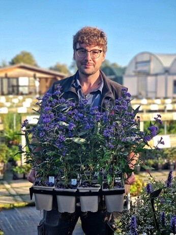 Weekly catch up with garden and propagation Weekly catch up with garden and propagation