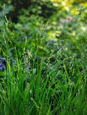 Weekly catch up with gardens & propagation Weekly catch up with gardens & propagation