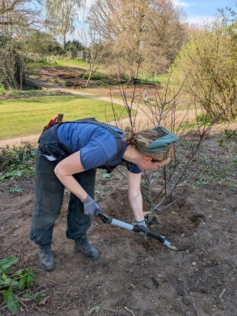 Weekly catch up with gardens & propagation Weekly catch up with gardens & propagation