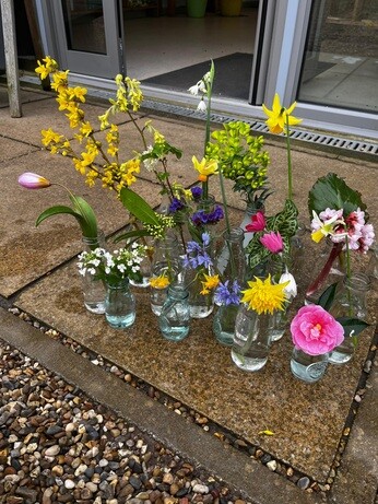 Weekly catch up with garden & propagation Weekly catch up with garden & propagation