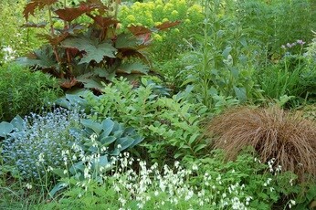 Fabulous foliage Fabulous foliage