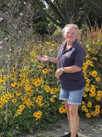 Weekly catch up with garden and propagation Weekly catch up with garden and propagation