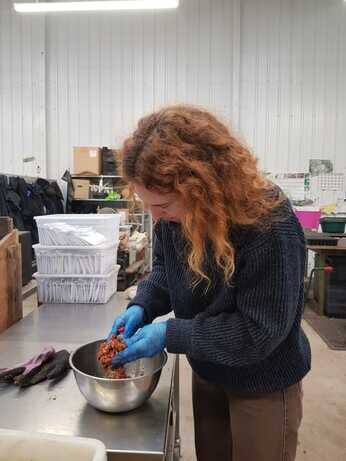 Weekly catch up with garden and propagation Weekly catch up with garden and propagation