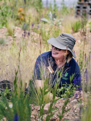 Beth Chatto's Meanwhile Garden Beth Chatto's Meanwhile Garden