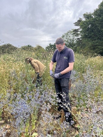 Weekly catchup with garden and propagation Weekly catchup with garden and propagation