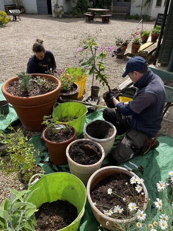 Weekly catch up with garden & propagation Weekly catch up with garden & propagation