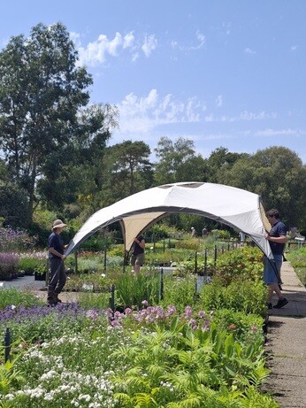 Weekly catch up with garden and propagation Weekly catch up with garden and propagation