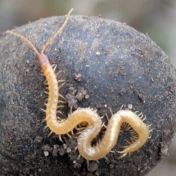 Wild Words from the Ground – February & March Wild Words from the Ground – February & March