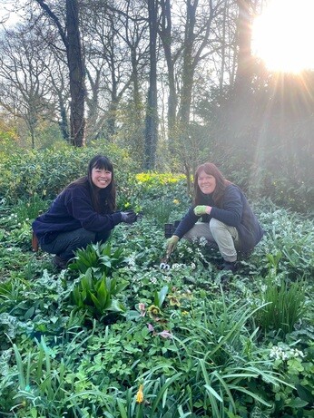 Weekly catch up with gardens & propagation Weekly catch up with gardens & propagation