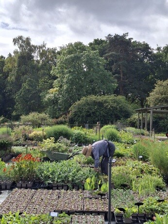 Weekly catch up with garden & propagation Weekly catch up with garden & propagation