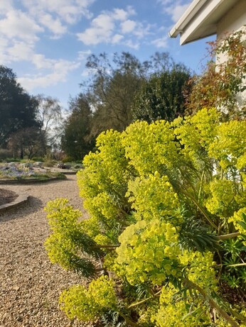 Weekly catch up with gardens & propagation Weekly catch up with gardens & propagation