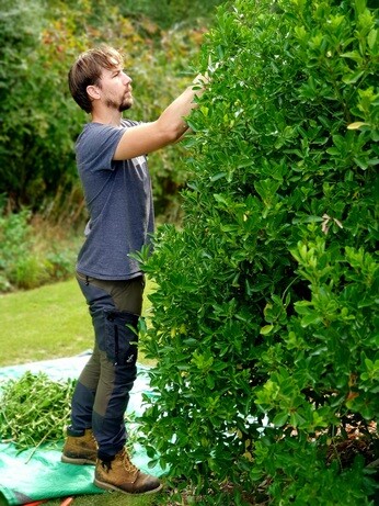 Weekly catch up with garden & propagation Weekly catch up with garden & propagation