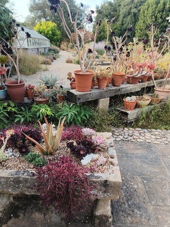 My year as a trainee at Beth Chatto's Plants & Gardens My year as a trainee at Beth Chatto's Plants & Gardens