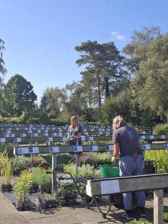 Weekly catch up with garden & propagation Weekly catch up with garden & propagation