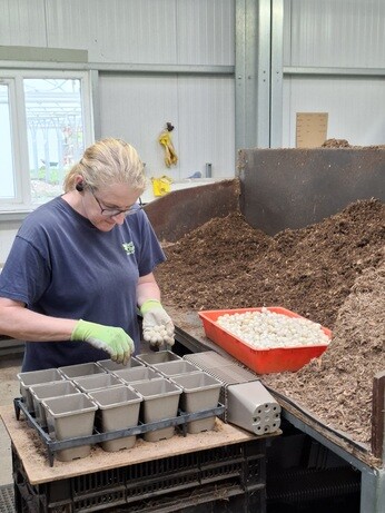 Weekly catch up with garden & propagation Weekly catch up with garden & propagation