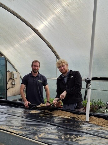 Weekly catch up with garden & propagation Weekly catch up with garden & propagation