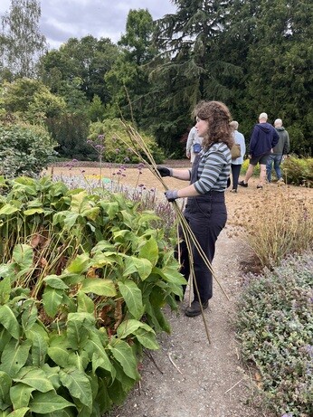 Weekly catchup with garden and propagation Weekly catchup with garden and propagation
